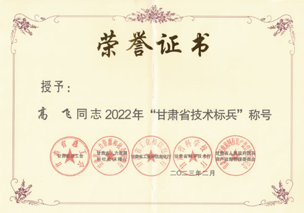 高飞甘肃省技术标兵证书